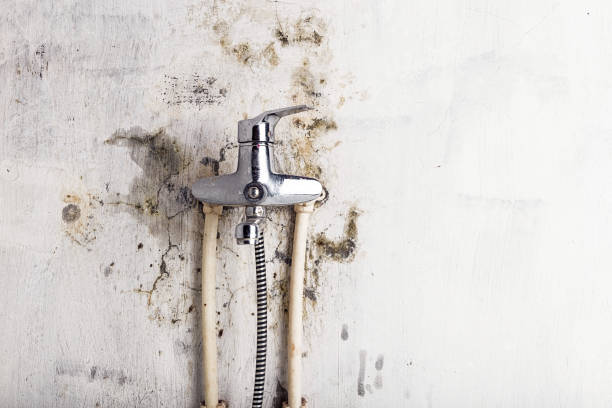Best Office Mold Removal Services  in Chelsea, OK